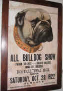 Bull Dog.JPG (108657 bytes)