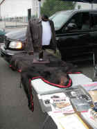 pict6706.jpg (78459 bytes)