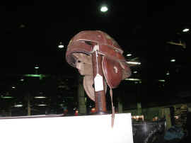 pict0190 (copy).jpg (74356 bytes)