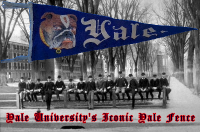 yale fence photo w dog.png (170233 bytes)