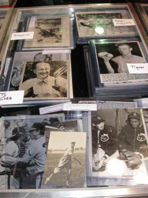 PICT2262_900x1200.jpg (180354 bytes)