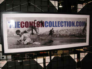 PICT2276_1200x900.jpg (192180 bytes)