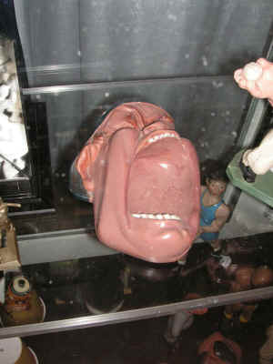 PICT2287_900x1200.jpg (155178 bytes)