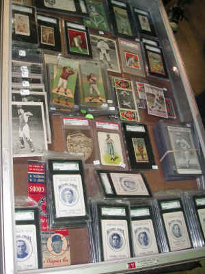 PICT2497_900x1200.jpg (209278 bytes)