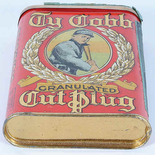 bottom.jpg (288957 bytes)