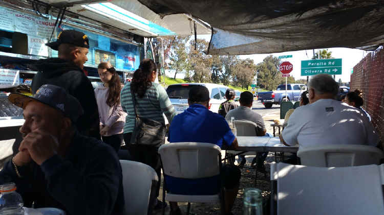 coach.jpg (286275 bytes)