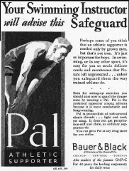 Pal Swimmer.png (525402 bytes)