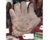 GloveLeftyCressent.jpg (563151 bytes)