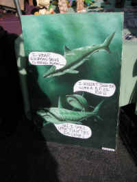 PICT9790_900x1200.jpg (150753 bytes)