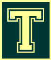 T Block Green.jpeg (3725 bytes)