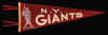 253NYGiantsPen.jpg (57045 bytes)