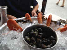 img_1599.jpg (152064 bytes)