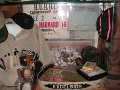 pict8570.jpg (218779 bytes)